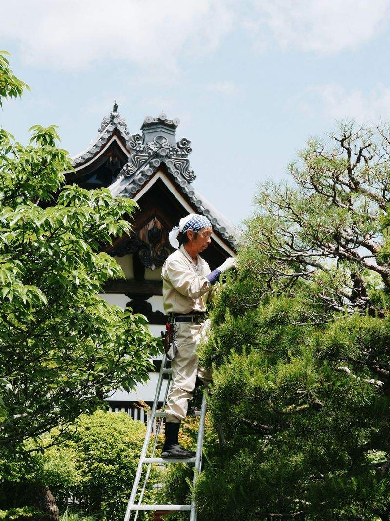 鈴木 翔太